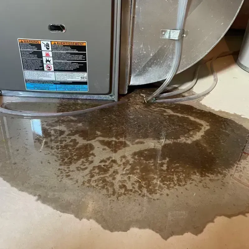 Appliance Leak Cleanup in West Buechel, KY